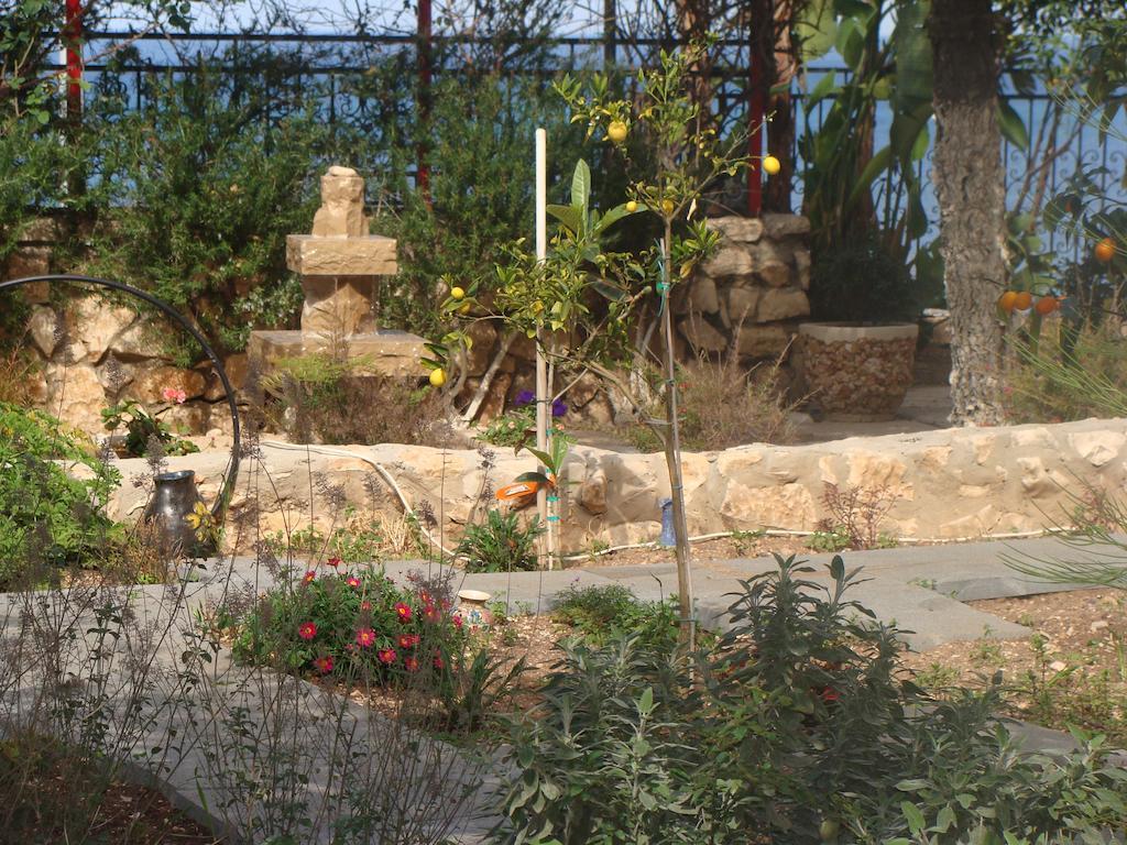 Tamer Guest House Haifa Ngoại thất bức ảnh