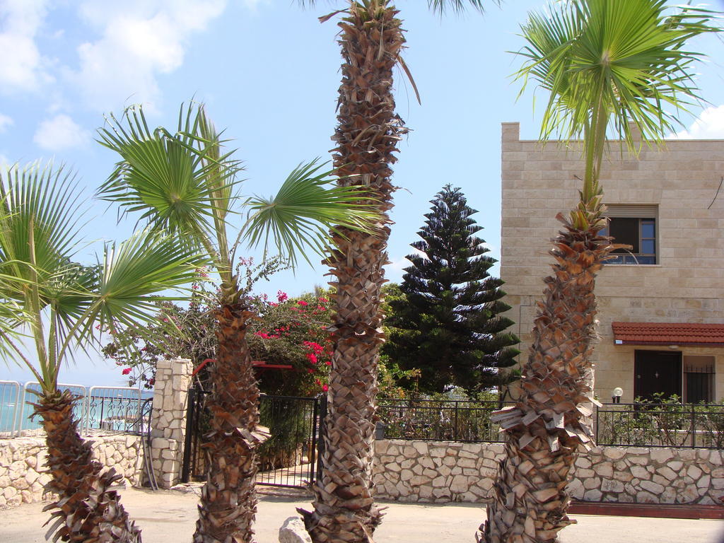 Tamer Guest House Haifa Ngoại thất bức ảnh